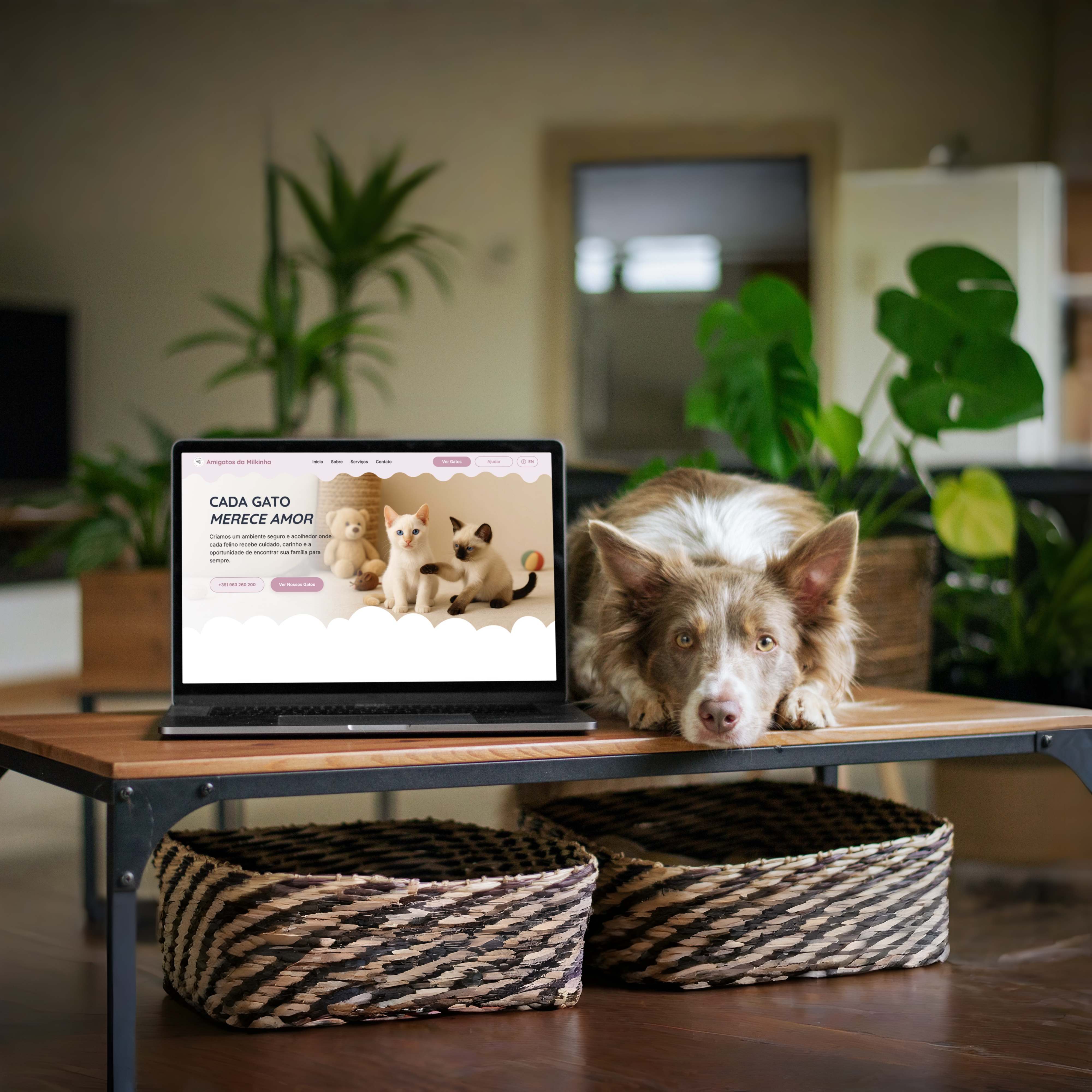 Amigatos da Milkinha